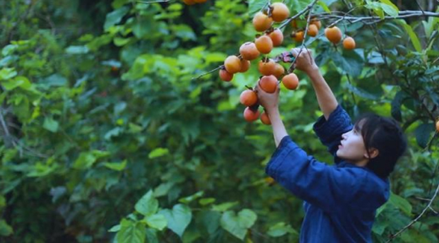 宏天凱泡棉廠家直銷 宏天凱泡棉廠家直銷