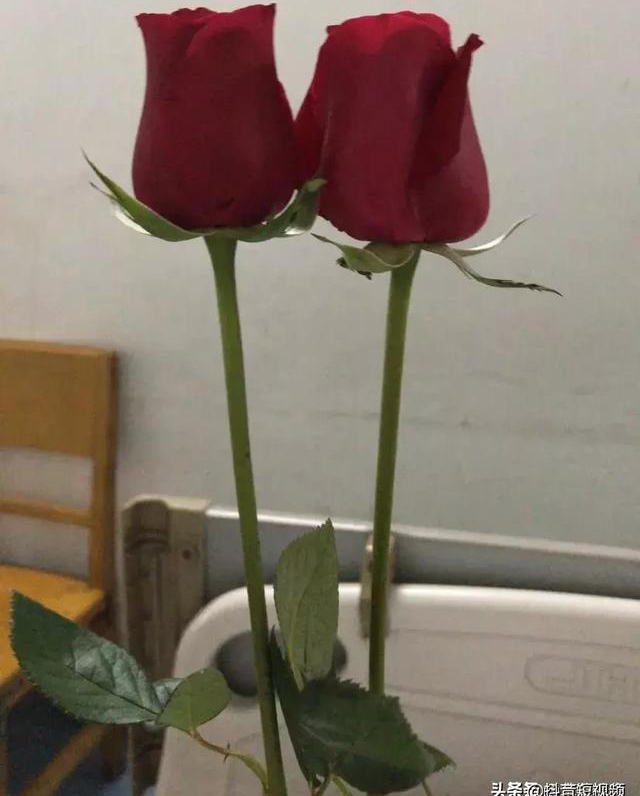 宏天凱泡棉廠家定制 宏天凱泡棉廠家定制