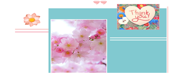 宏天凱泡棉廠家定制 宏天凱泡棉廠家定制