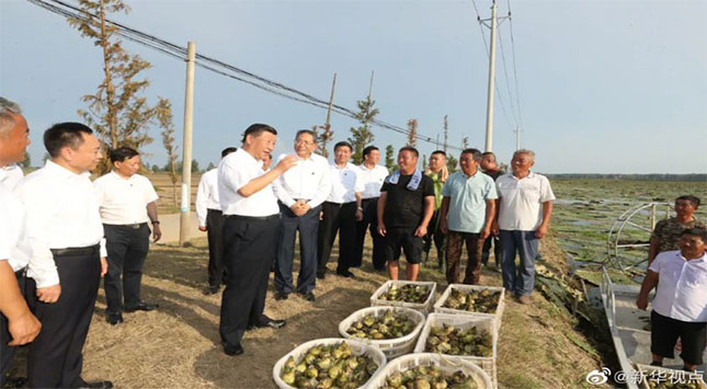 宏天凱泡棉廠家定制 宏天凱泡棉廠家定制