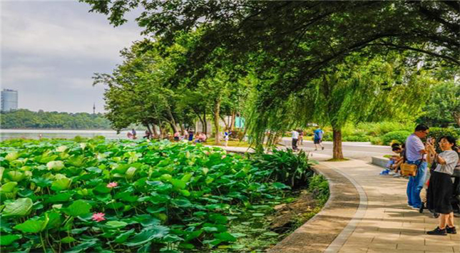 宏天凱泡棉廠家定制 宏天凱泡棉廠家定制