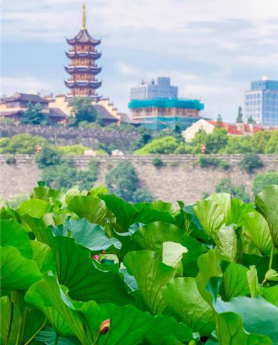 宏天凱泡棉廠家定制 宏天凱泡棉廠家定制