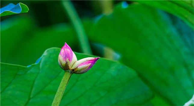 宏天凱泡棉廠家定制 宏天凱泡棉廠家定制