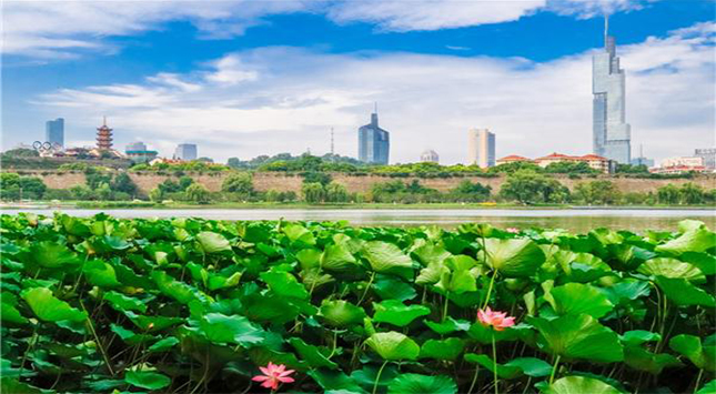 宏天凱泡棉廠家定制 宏天凱泡棉廠家定制
