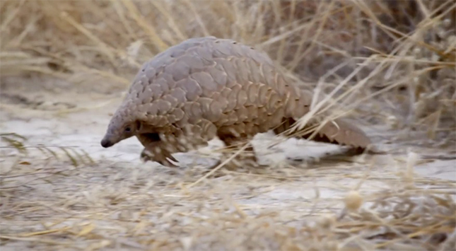 宏天凱泡棉廠家定制 宏天凱泡棉廠家定制