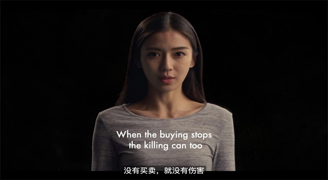 宏天凱泡棉廠家定制 宏天凱泡棉廠家定制