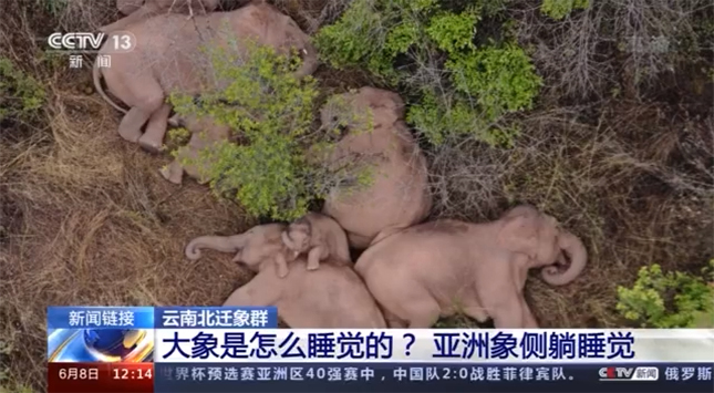 宏天凱泡棉廠家訂制 宏天凱泡棉廠家訂制