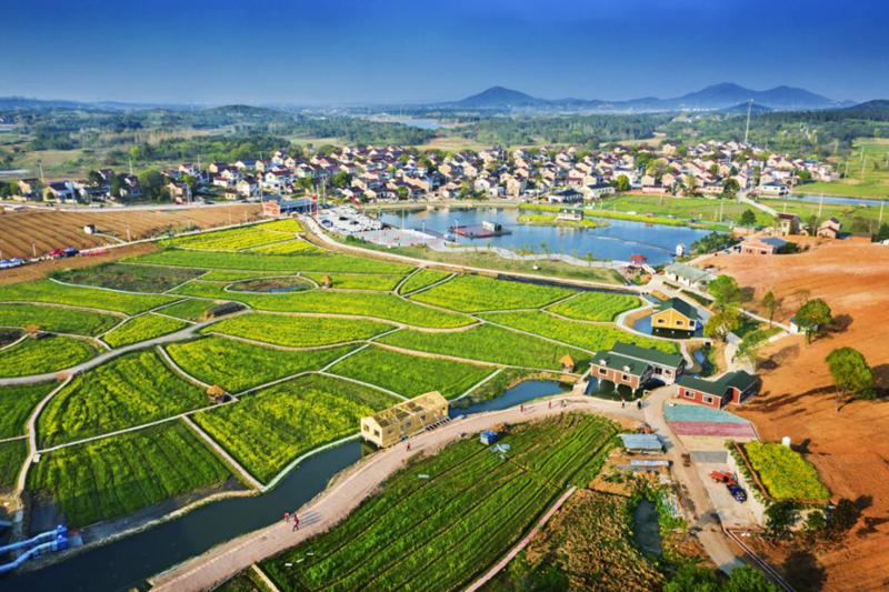 1634801399579629.jpg 784.jpg